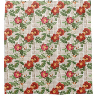 Cortina De Ducha Colección de Ilustraciones de patrimonio de Rosas 