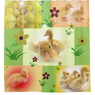 Cortina De Ducha collage de imágenes de patitos lindos