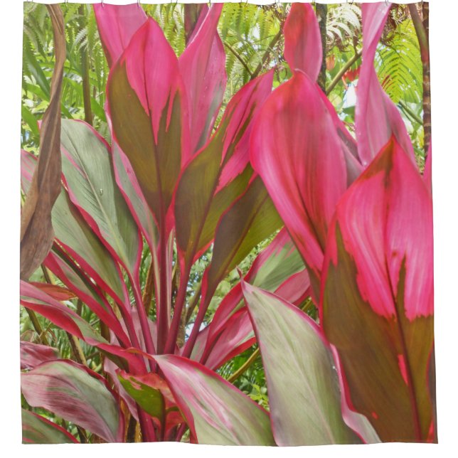 CORTINA DE DUCHA CON PLANTAS HAWAIIAN RED HHERTER  (Anverso)