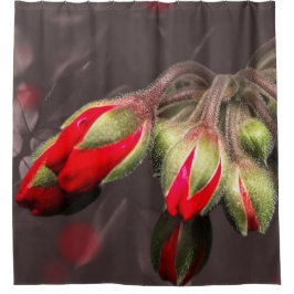 Cortina De Ducha Con Un Color Rojo Y Oscuro