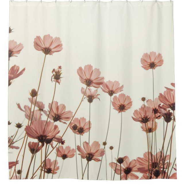 Cortina De Ducha Cosmos rosados: flores de fondo blanco. (Anverso)
