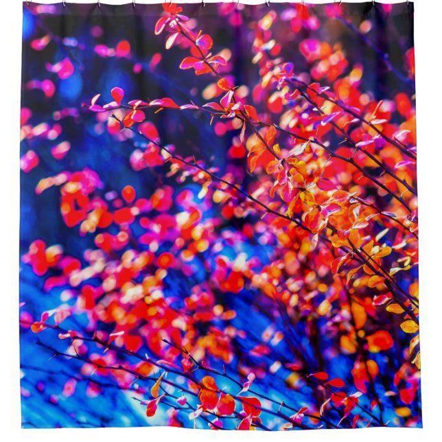 Cortina De Ducha Cotoneaster ardiente (Anverso)