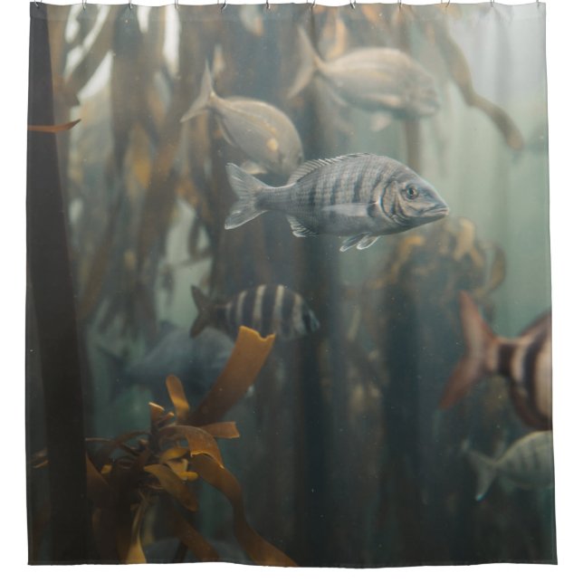 Cortina De Ducha Criaturas marinas (Anverso)