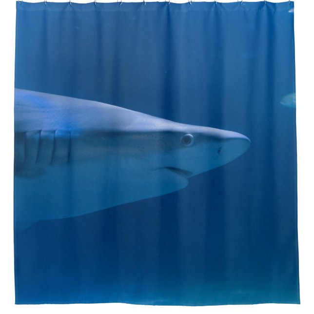 Cortina De Ducha Criaturas oceánicas (Anverso)