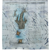 Cuadros de tiburón de ballena en peligro de extinc