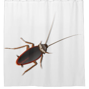 Cortina De Ducha Cucaracha