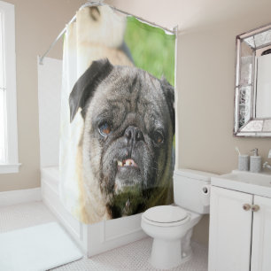 Cortina De Ducha Cute como pug