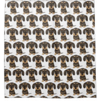 Dachshund con cable | Perro Cute Teckel Patterado