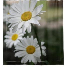 Cortina De Ducha Daisies blancos con un verde oscuro