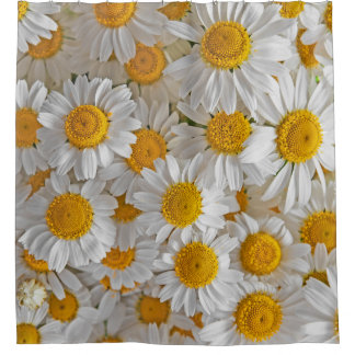 Cortina De Ducha Daisies blancos: Hermoso fondo floral