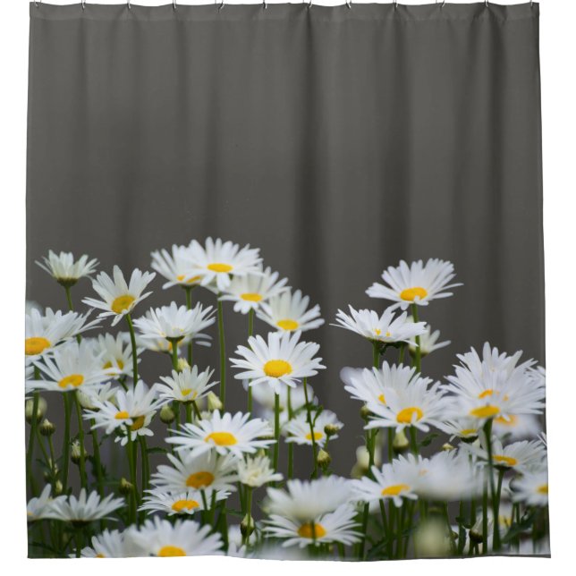 Cortina De Ducha Daisies on Grey (Anverso)