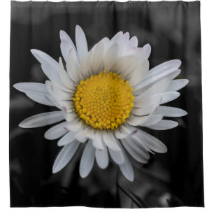 Cortina De Ducha Daisy blanco sobre fondo negro