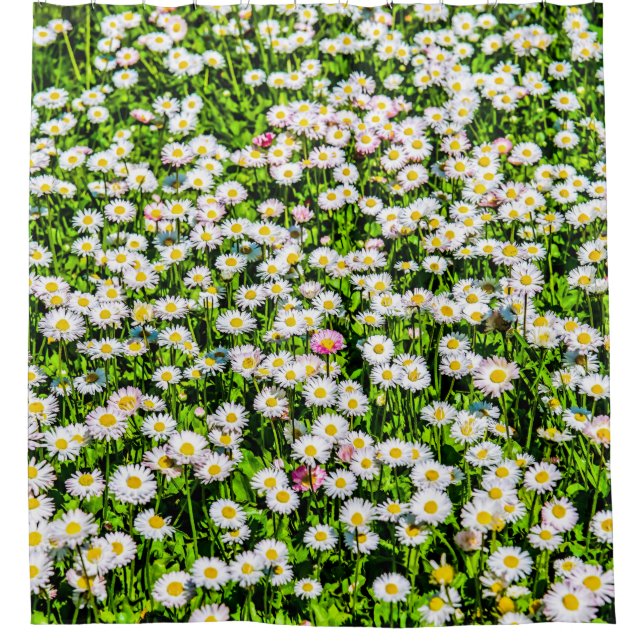Cortina De Ducha Daisy Flowers Field (Anverso)
