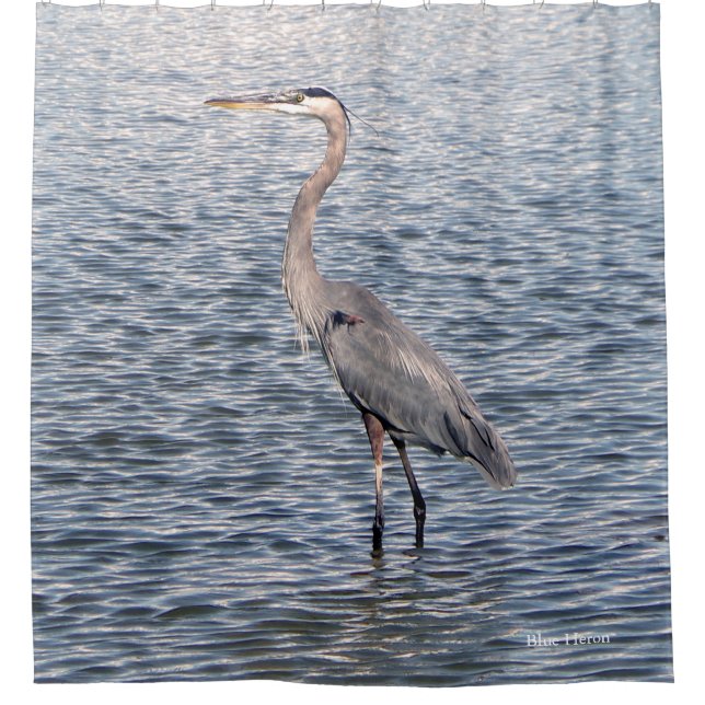 Cortina de ducha de agua de Blue Heron (Anverso)