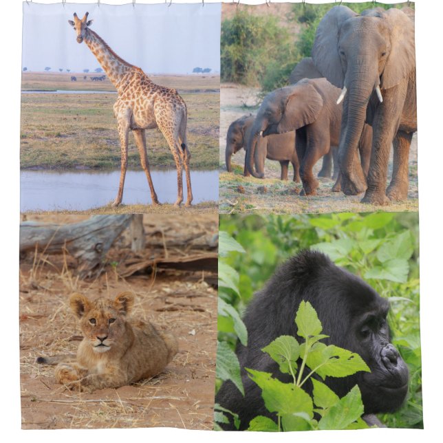 Cortina de ducha de animales de Safari (Anverso)