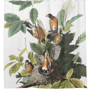 Cortina de ducha de Audubon de la jerarquía de la