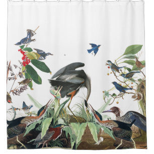 Cortina de ducha de Audubon de los pájaros del