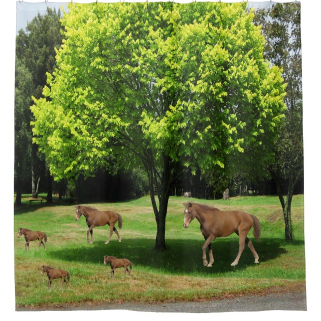 Cortina de ducha de caballos para niños (Anverso)