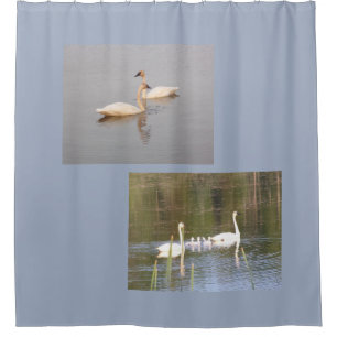 Cortina de ducha de cisnes blancos
