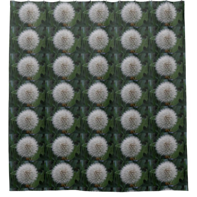 Cortina de ducha de flores de Dandelion de semilla (Anverso)