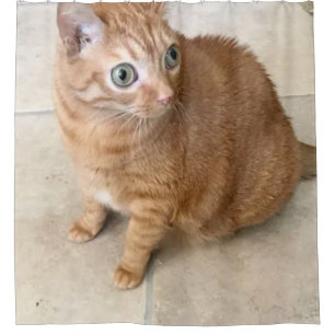 Cortina de Ducha de Gato con Ojos Grandes