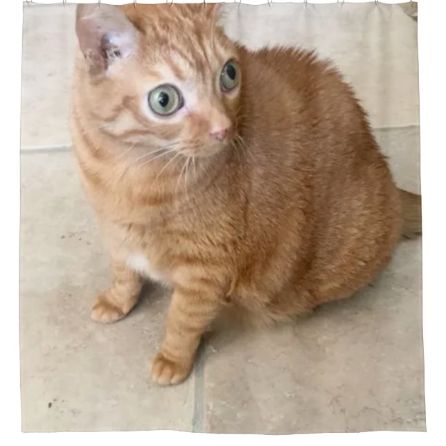 Cortina de Ducha de Gato con Ojos Grandes (Anverso)