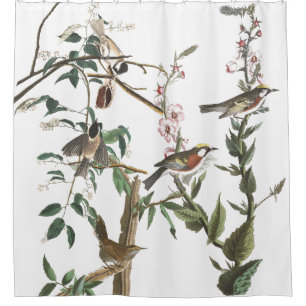 Cortina de ducha de la fauna de Audubon de los