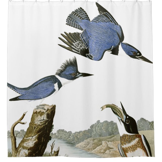 Cortina de ducha de la fauna de los pájaros del (Anverso)
