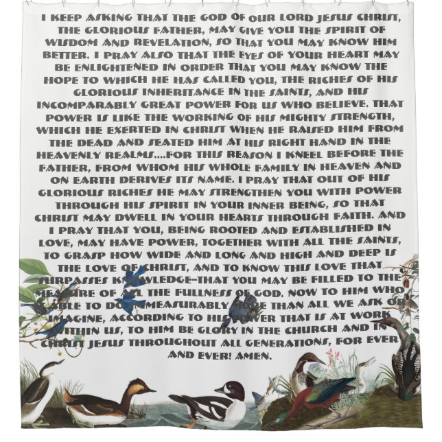 Cortina de ducha de la fauna de los pájaros del (Anverso)