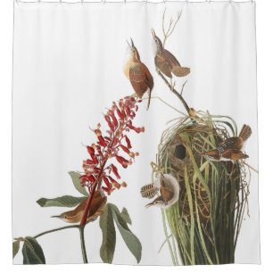 Cortina de ducha de la flor de Audubon de la fauna