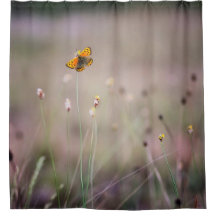 Cortina de ducha de la mariposa