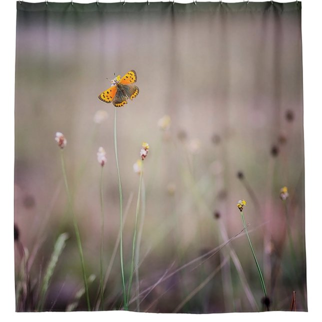 Cortina de ducha de la mariposa (Anverso)