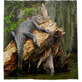 Cortina de ducha de lagarto de DeGruy