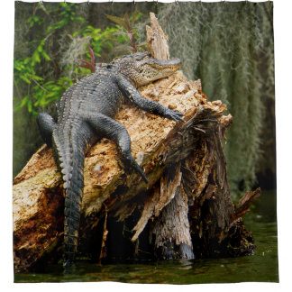 Cortina de ducha de lagarto de DeGruy