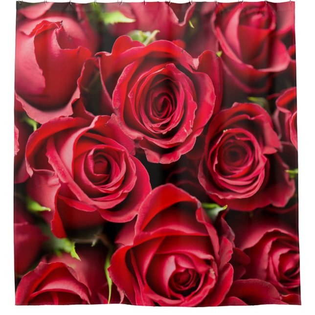 Cortina de Ducha de Lujo Rosas Rojas (Anverso)
