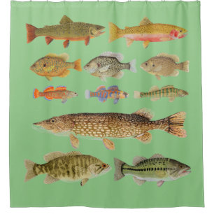 Cortina de ducha de peces de agua dulce
