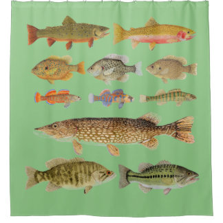 Cortina de ducha de peces de agua dulce