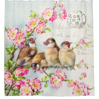 Cortina de ducha de plumas de primavera