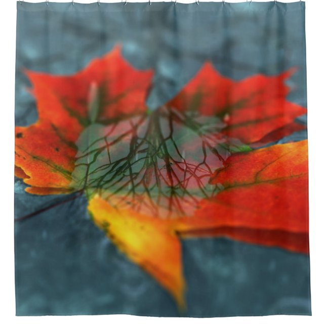 Cortina de ducha de reflexión (Anverso)