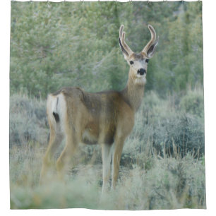 Cortina De Ducha Deer