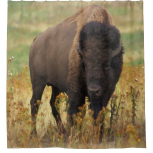 Cortina de ducha del bisonte americano
