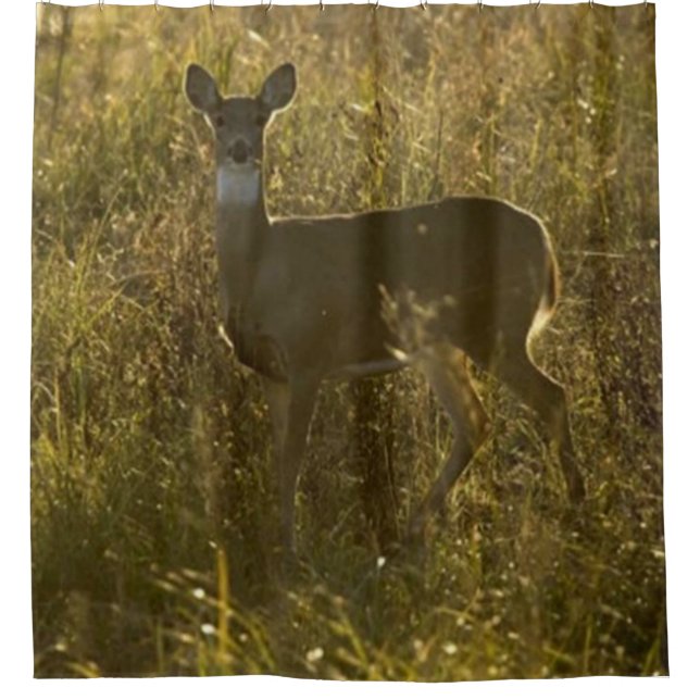 CORTINA DE DUCHA DEL CAMPAMENTO PRÓXIMO 2 (Anverso)