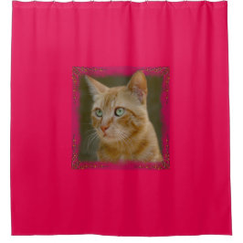 Cortina de ducha del gato del jengibre