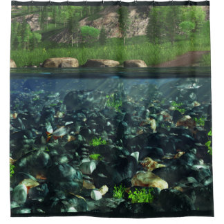 Cortina de ducha del río de Cwn