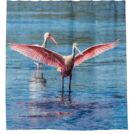 Cortina de ducha del Spoonbill rosado