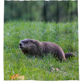 Cortina De Ducha Devils Hole Digger