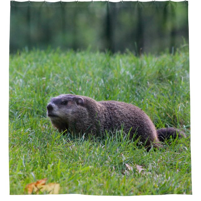 Cortina De Ducha Devils Hole Digger (Anverso)