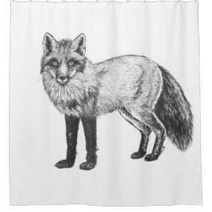 Cortina De Ducha Dibujo de Fox