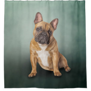 Cortina De Ducha Dibujo de perro Bulldog francés