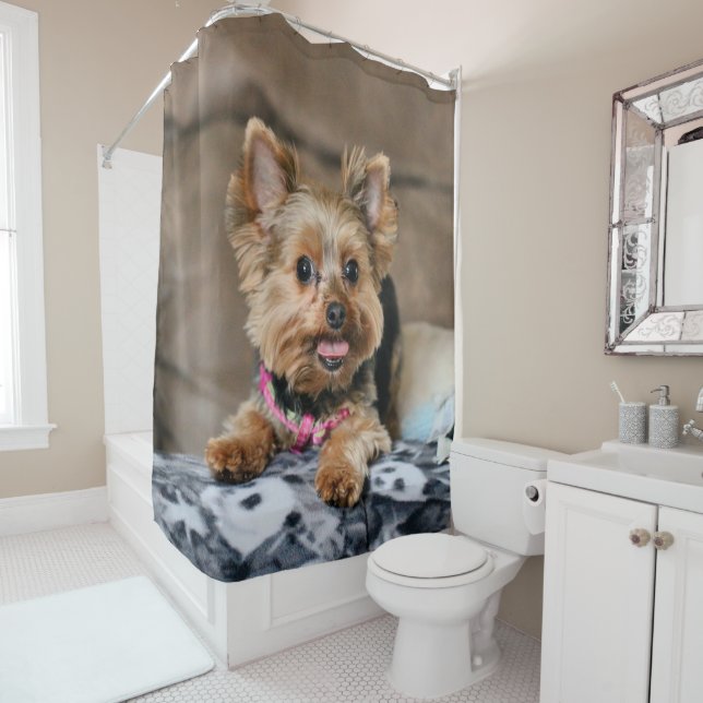 Cortina De Ducha Dínamo pequeño (In situ)